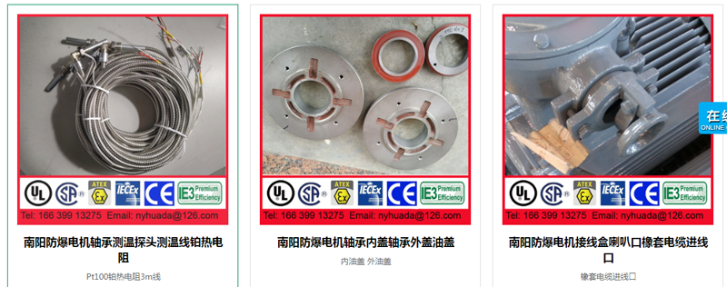 南阳防爆电机PT100测温探头内外油盖喇叭口