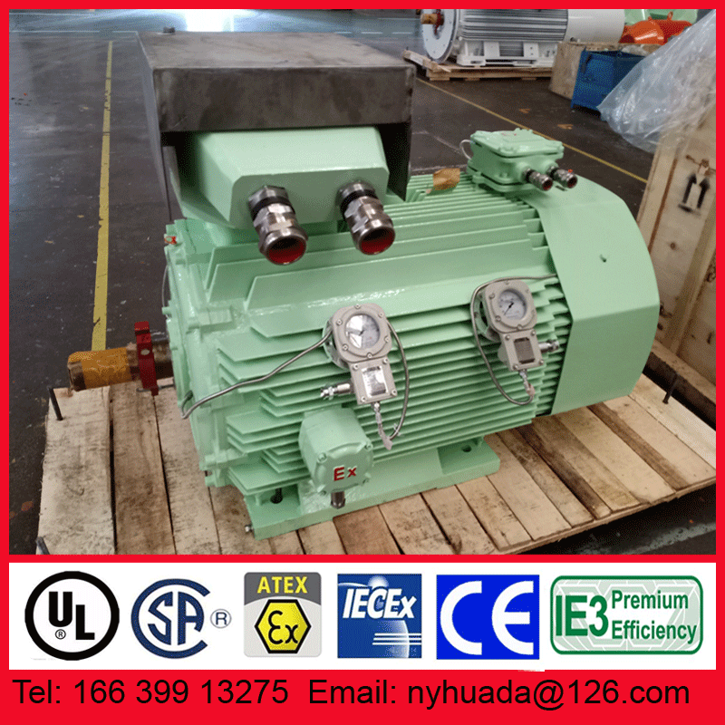 南阳防爆电机带轴承测温仪表