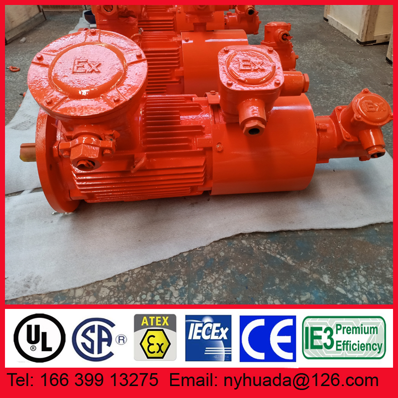 防爆变频制动刹车电机