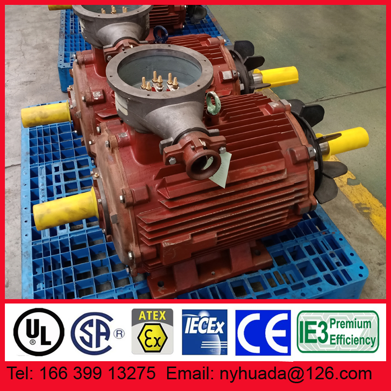 双轴伸南阳防爆电机
