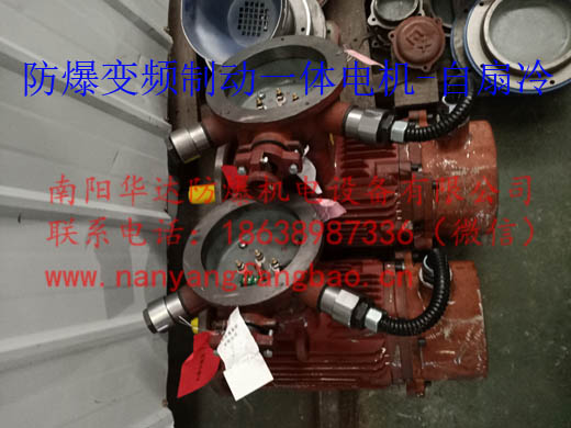 防爆变频制动一体电机