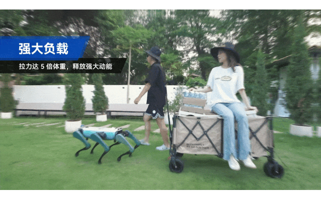 【会员动态】越疆发布六足机器狗！全球首推“机械臂+人形+六足”具身机器人平台