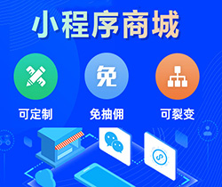 小程序开发（商城，分销，直播）