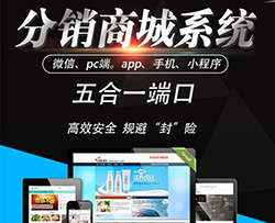 分销类商城开发