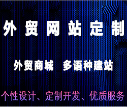 谷歌网站定制