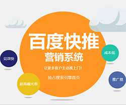 百度SEO快推系统