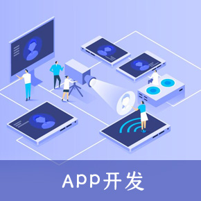 APP开发