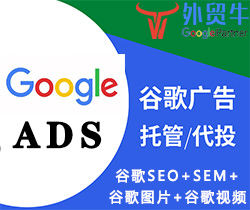 谷歌SEO+谷歌广告+谷歌图片+谷歌视频