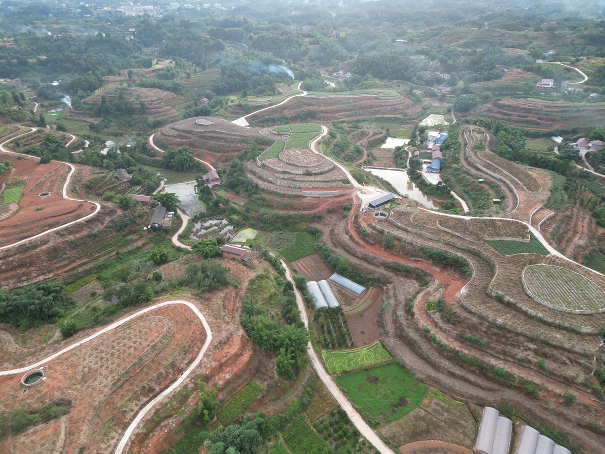 荣县浮萍河小流域258.69亩土地水土保持生态产品八年经营权拍卖