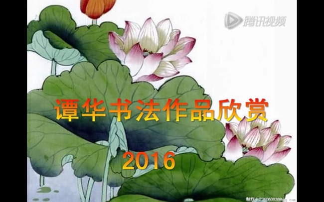 谭华书法作品欣赏2016之一（视频）