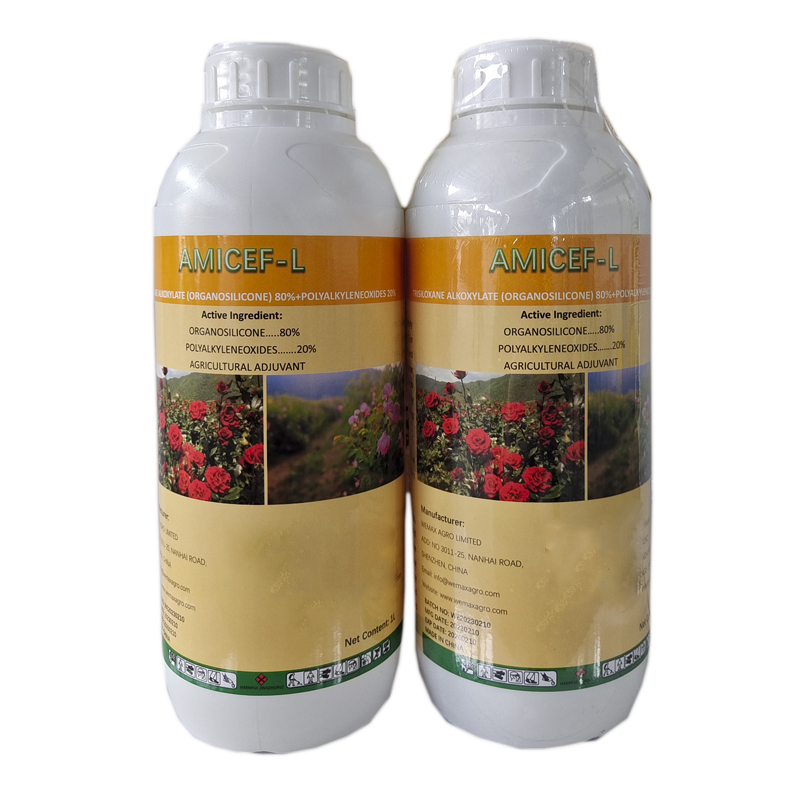 <p>
	<span>ORGANOSILICONE</span> 
</p>