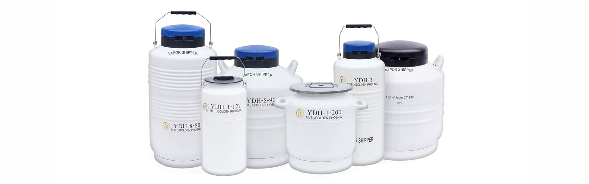 金凤液氮罐,金凤液氮容器,成都金凤液氮罐,成都金凤,液氮罐型号,液氮罐价格,液氮罐图片,液氮罐厂家,液氮罐品牌