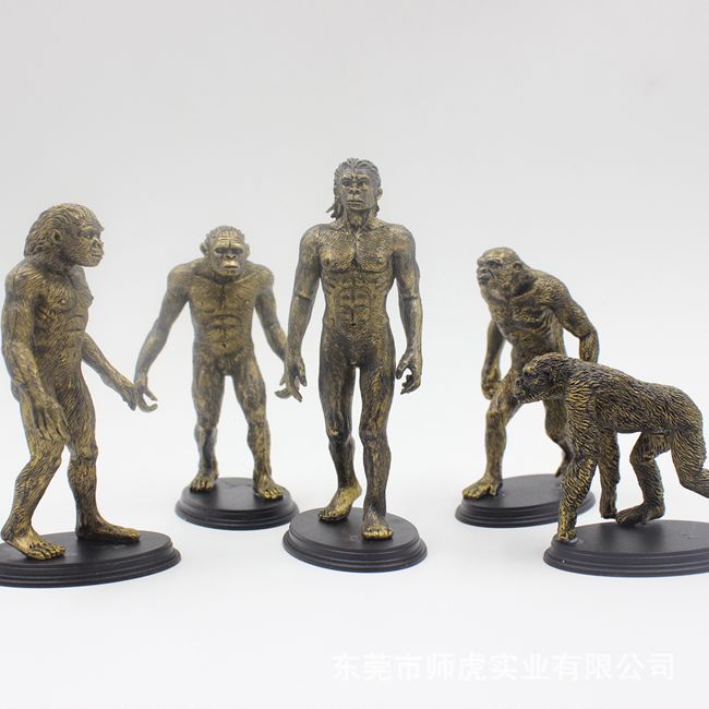 人類進化史 猿人