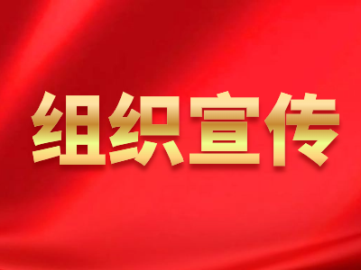 坚定不移贯彻总体国家安全观 把平安中国建设推向更高水平