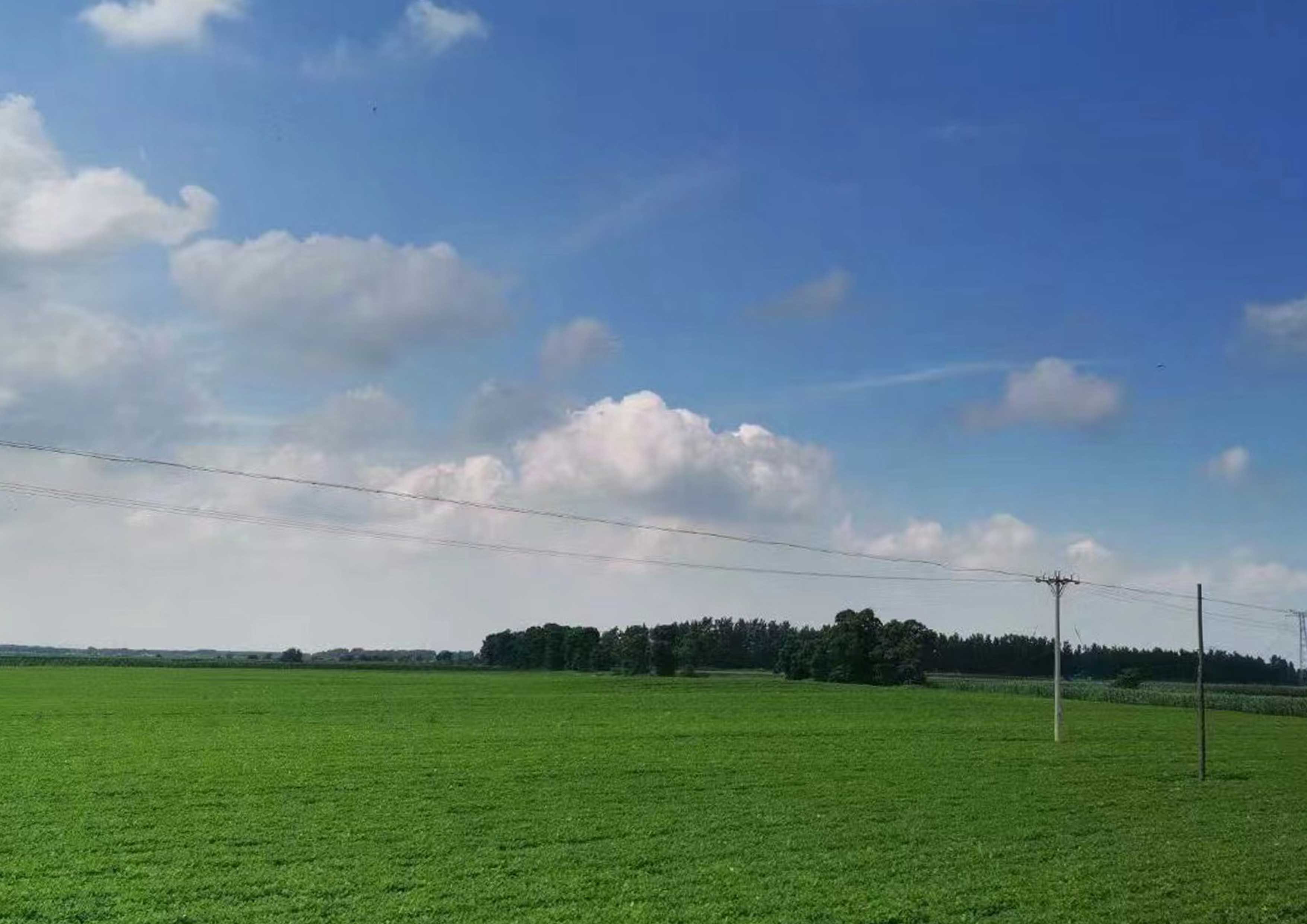 花生基地