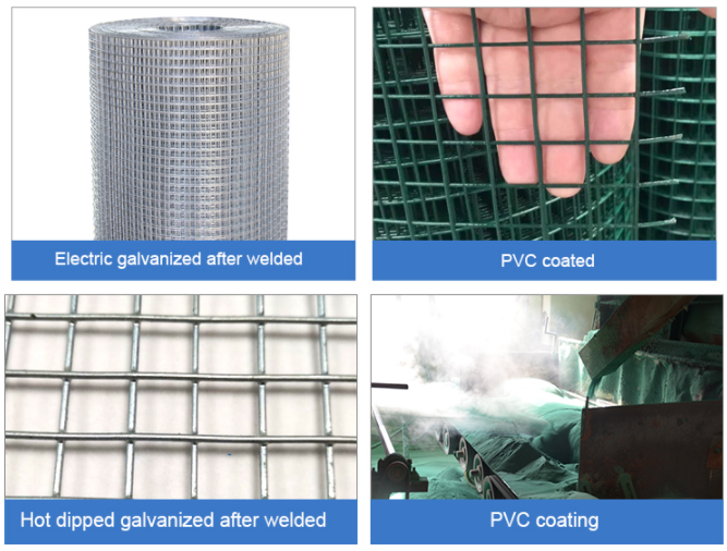 Wire Mesh