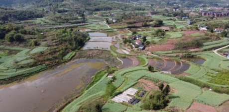 自贡市自流井区金鱼河流域自流井段水污染综合治理工程