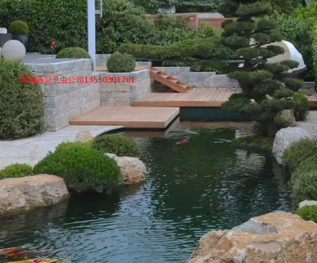 深圳杀虫公司排名