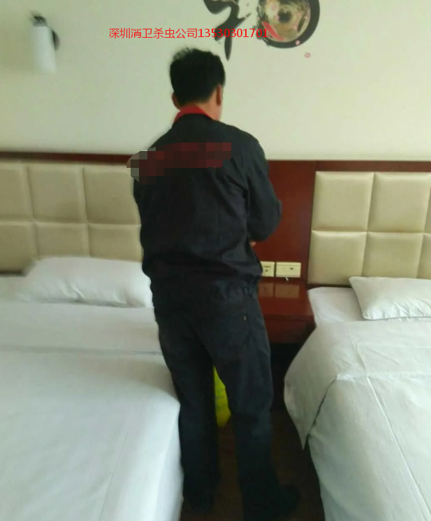 深圳灭蟑螂服务