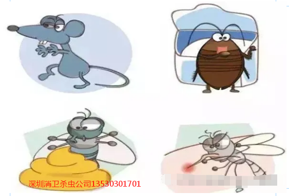 除四害是哪四害