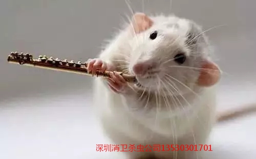 深圳市四害防治协会