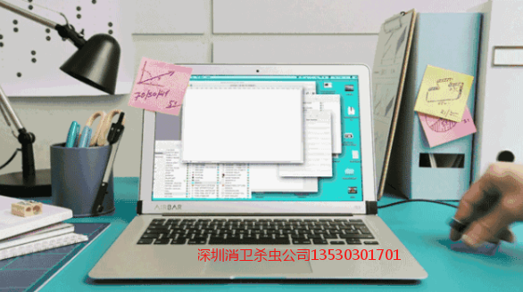 深圳消杀公司哪家好