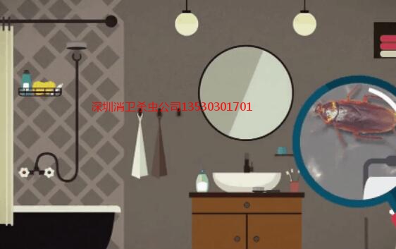 深圳灭蟑螂公司哪家好