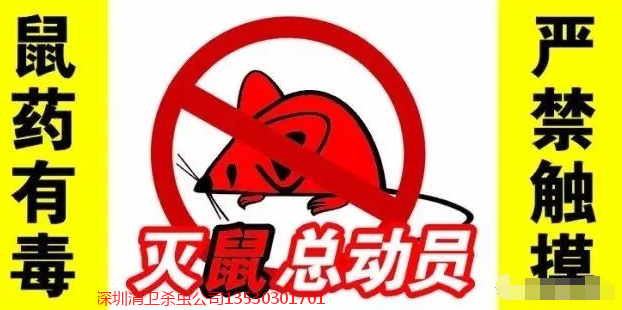 深圳市灭鼠公司