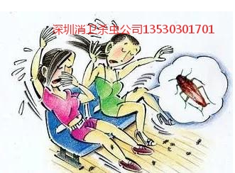 灭蟑螂