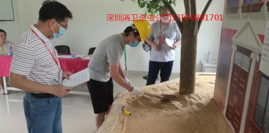 深圳白蚁防治专家