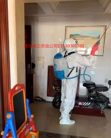 深圳办公杀虫
