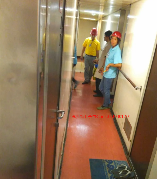 深圳市消杀公司价格