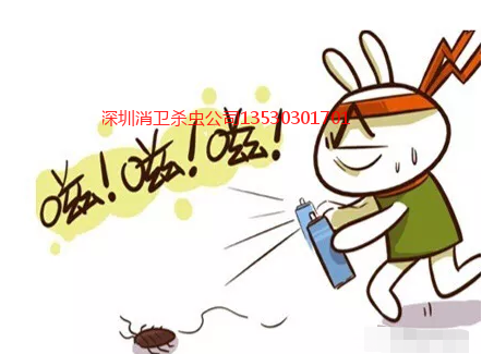 深圳灭蟑螂公司