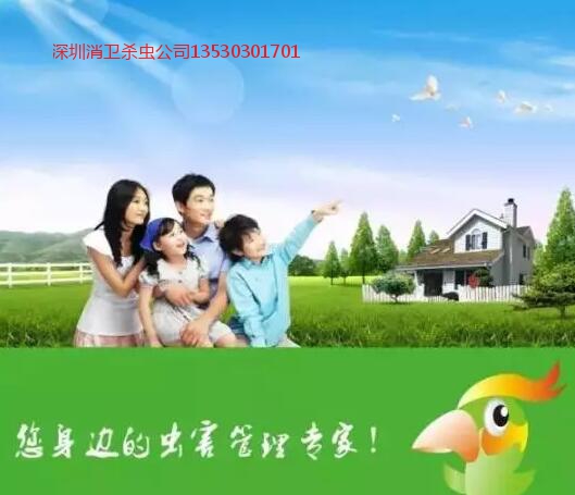 深圳白蚁防治服务