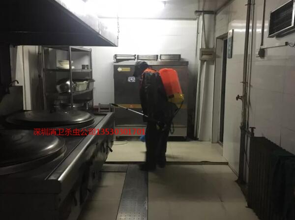深圳除四害专业公司