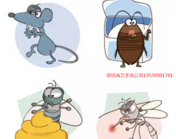 深圳杀四害