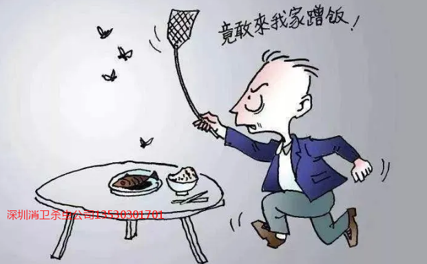 深圳灭四害服务公司