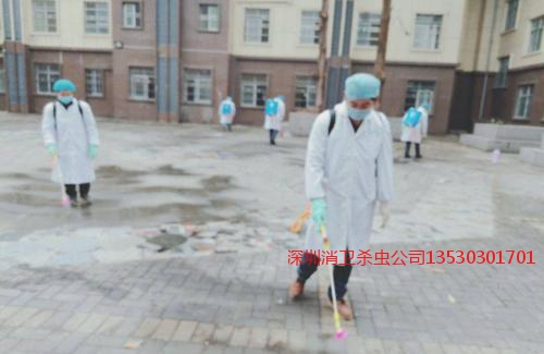 深圳消殺公司收費標準