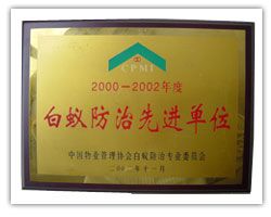 成功案例6