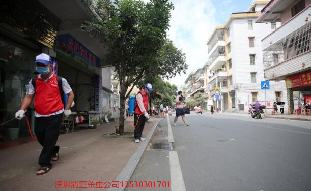 深圳消杀公司哪家专业
