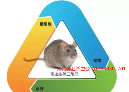 深圳滅鼠公司效果如何