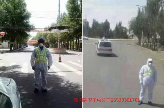 深圳灭鼠公司上门服务