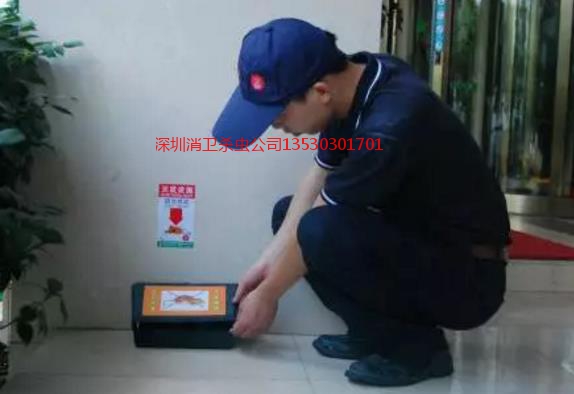 深圳专业除鼠