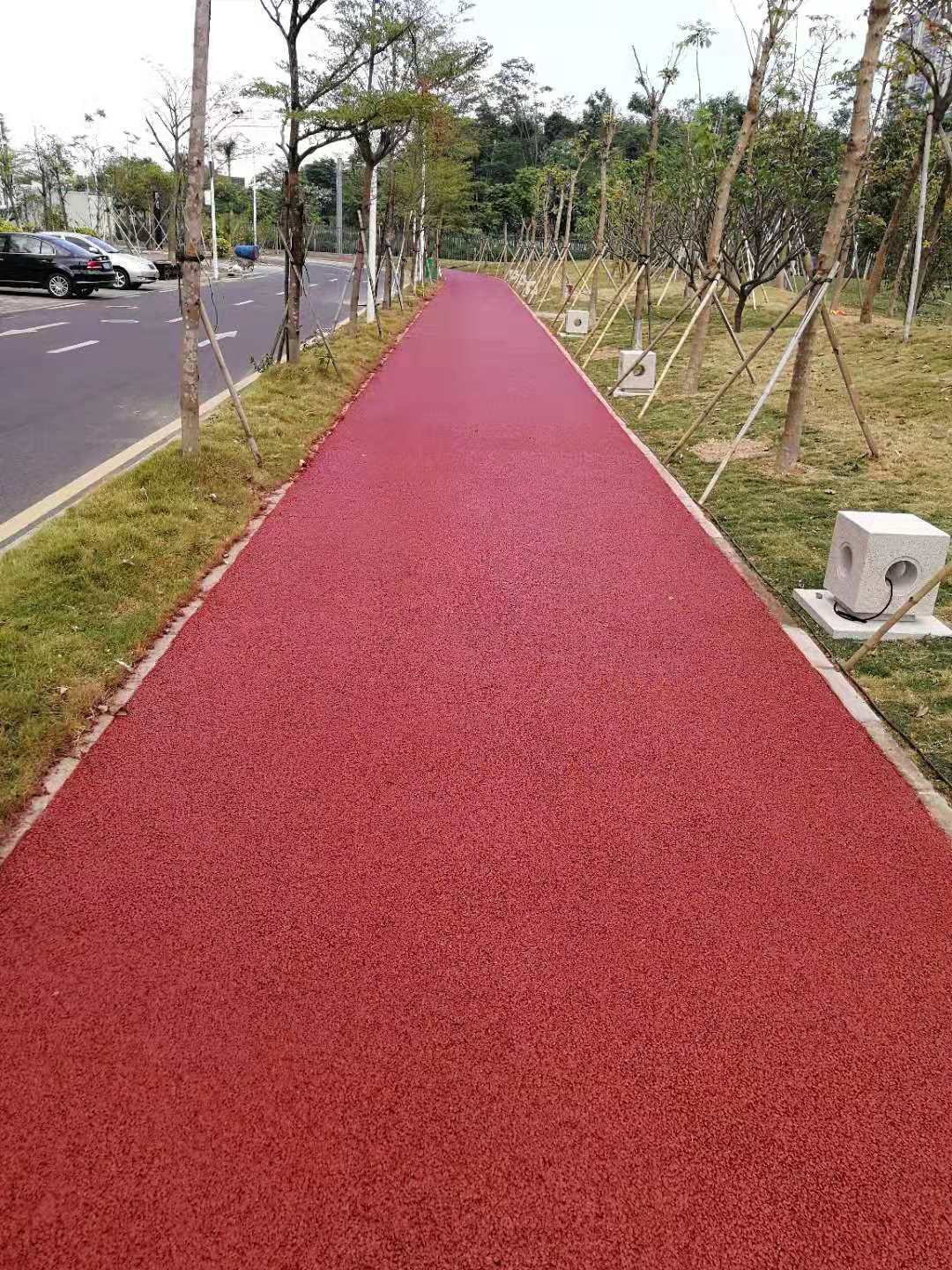 深圳西麗校區(qū)