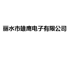 丽水市雄鹰电子有限公司