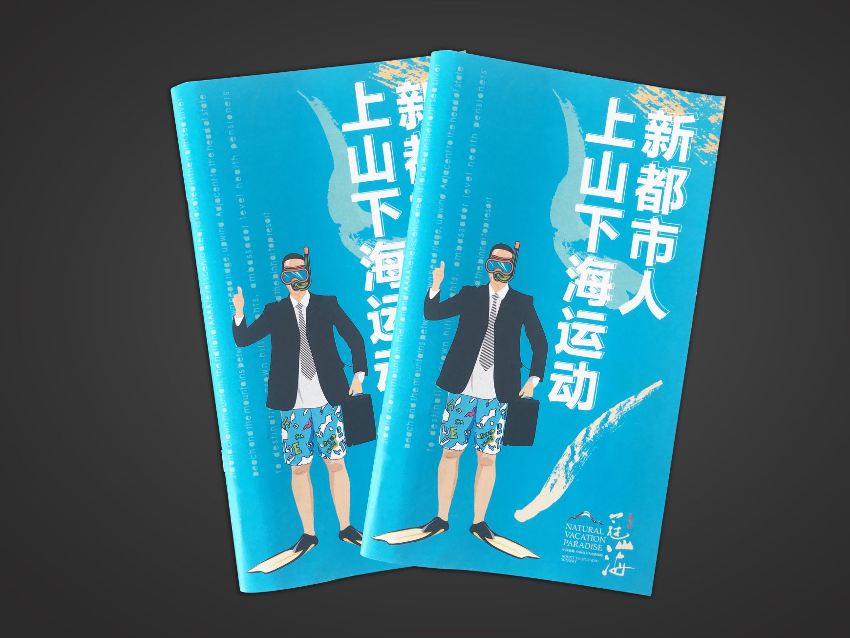 冠山海地产画册