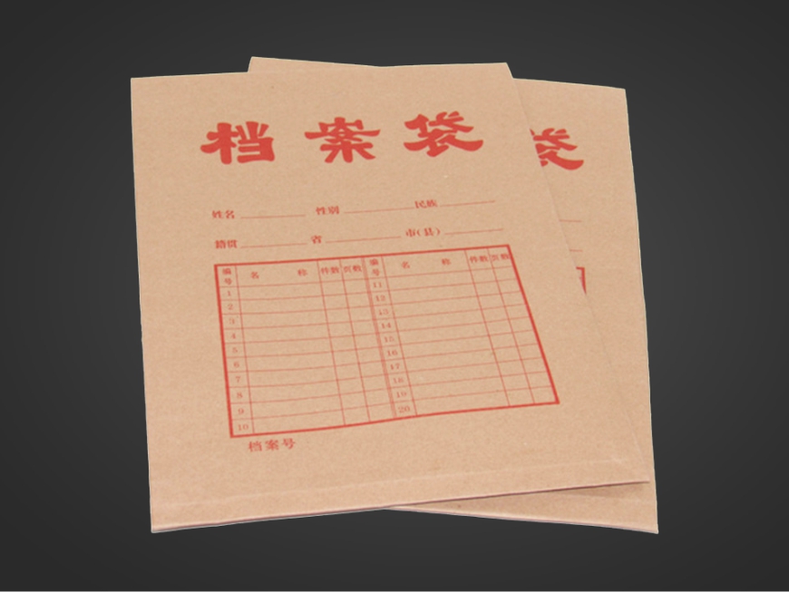 档案袋