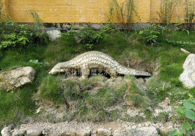 穿山曱