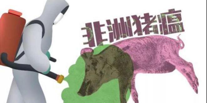 防不胜防！非瘟三大新特征，华畜教你如何应对