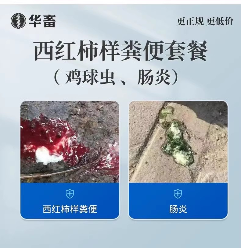 华畜兽用西红柿样粪便套餐